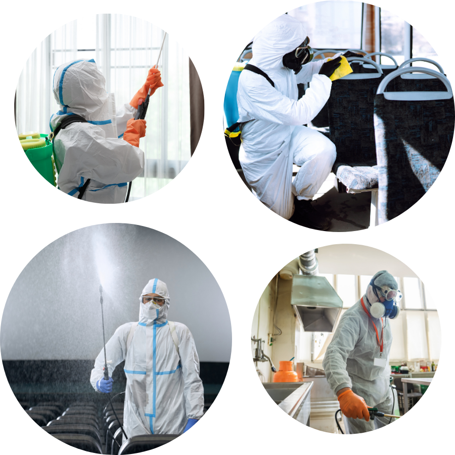 desinfeccion profesional mexico