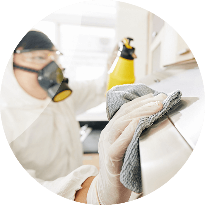 servicios anticovid sanitizacion